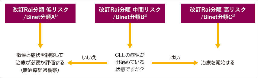 CLLを治療せずに過ごす期間（無治療経過観察）とは