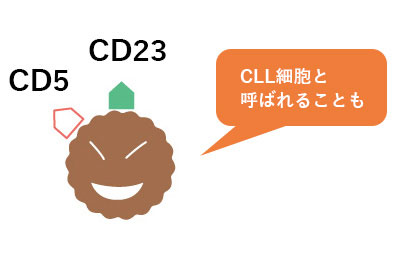 CD5とCD23