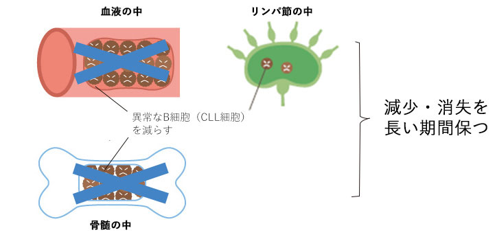 異常なB細胞（CLL）の減少・消失を長い期間保つ